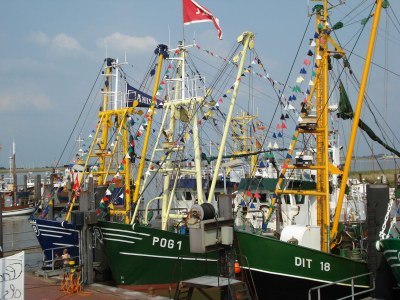 Holiday apartment Schafweg 4 - Environment photo 11