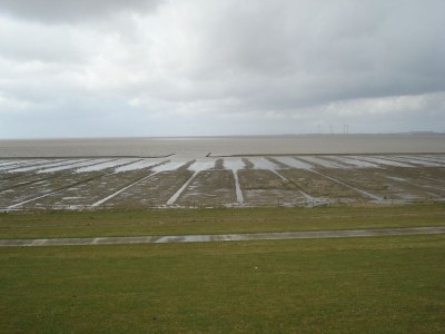 Holiday apartment Schafweg 4 - Environment photo 14