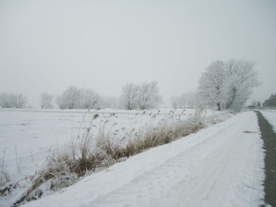 Holiday apartment Schafweg 4 - Environment photo 19