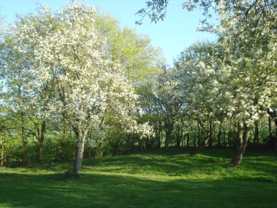 Holiday apartment Schafweg 4 - Environment photo 20
