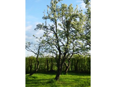 Holiday apartment Schafweg 4 - Document photo 23