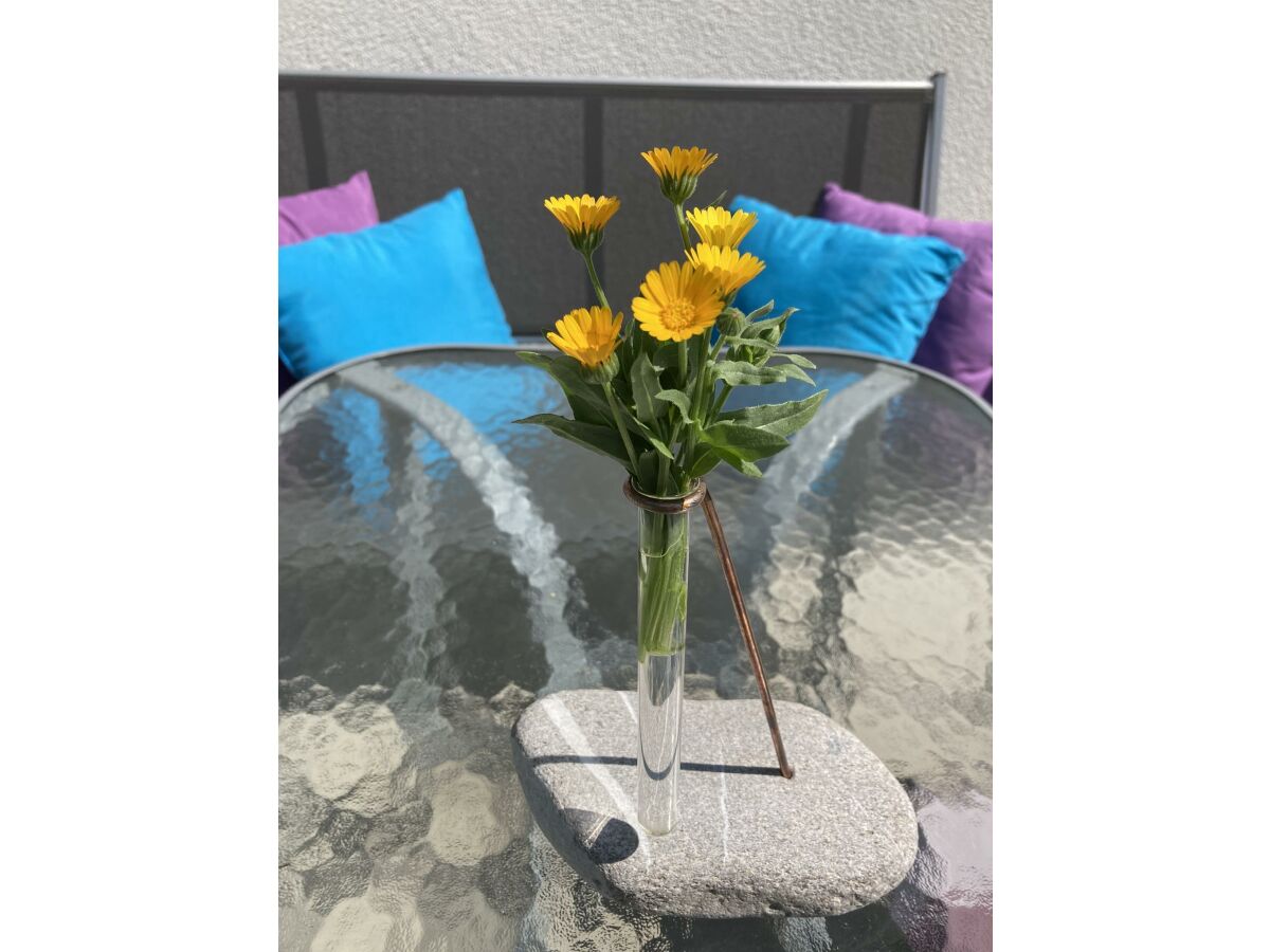 Apartment Appartement/Fewo, Dusche, WC, 1 Schlafraum - Outdoor photo 4