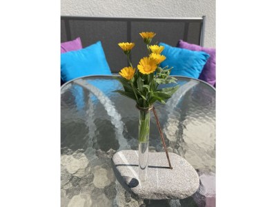 Apartment Appartement/Fewo, Dusche, WC, 1 Schlafraum - Outdoor photo 4