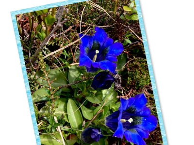 Apartment Appartement/Fewo, Dusche, WC, 1 Schlafraum - Outdoor photo 7