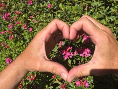 Apartment Appartement/Fewo, Dusche, WC, 1 Schlafraum - Outdoor photo 9