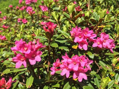 Apartment Appartement/Fewo, Dusche, WC, 1 Schlafraum - Outdoor photo 10