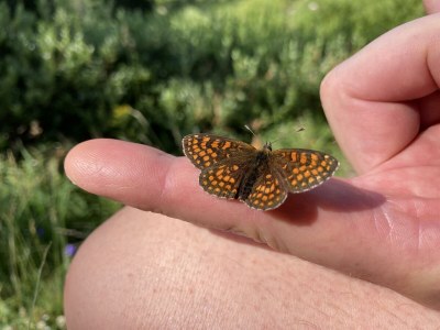 Apartment Appartement/Fewo, Dusche, WC, 1 Schlafraum - Outdoor photo 14