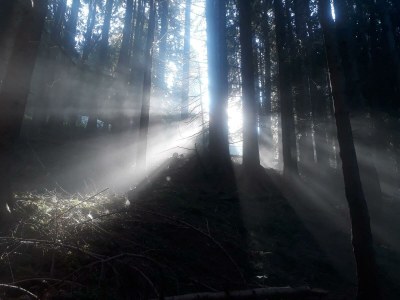 Apartment Appartement/Fewo, Dusche, WC, 1 Schlafraum - Outdoor photo 16