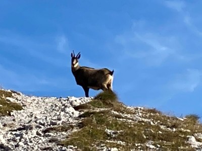 Apartment Appartement/Fewo, Dusche, WC, 1 Schlafraum - Outdoor photo 28