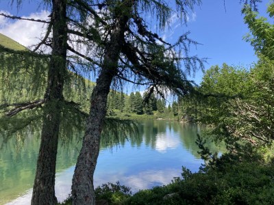 Apartment Appartement/Fewo, Dusche, WC, 1 Schlafraum - Outdoor photo 29