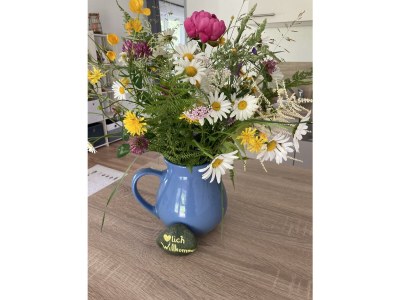 Apartment Appartement/Fewo, Dusche, WC, 1 Schlafraum - Features photo 38