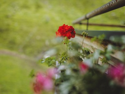 Holiday apartment Wieshofgut - Features photo 23