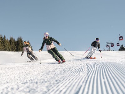 Holiday apartment Wieshofgut - Environment photo 26