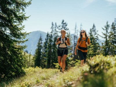 Holiday apartment Wieshofgut - Environment photo 30