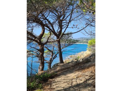 Villa Cavini - Environment photo 23