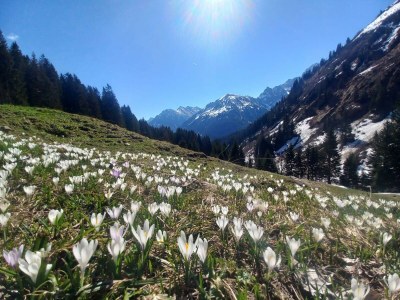 Apartment Ferienwohnung Bergjuwel mit 1 Schlafraum - Outdoor photo 6