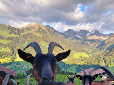 Apartment Ferienwohnung Bergjuwel mit 1 Schlafraum - Outdoor photo 33