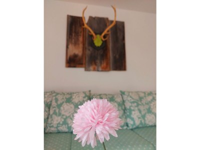 Apartment Ferienwohnung Bergjuwel mit 1 Schlafraum - Features photo 47