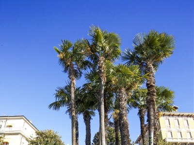 Apartment Lungolago No. 3 - Outdoor photo 6