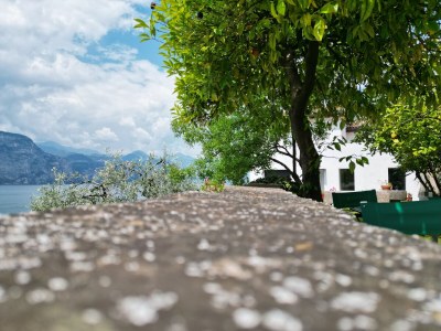 Holiday apartment Casa Carlo - Outdoor photo 8