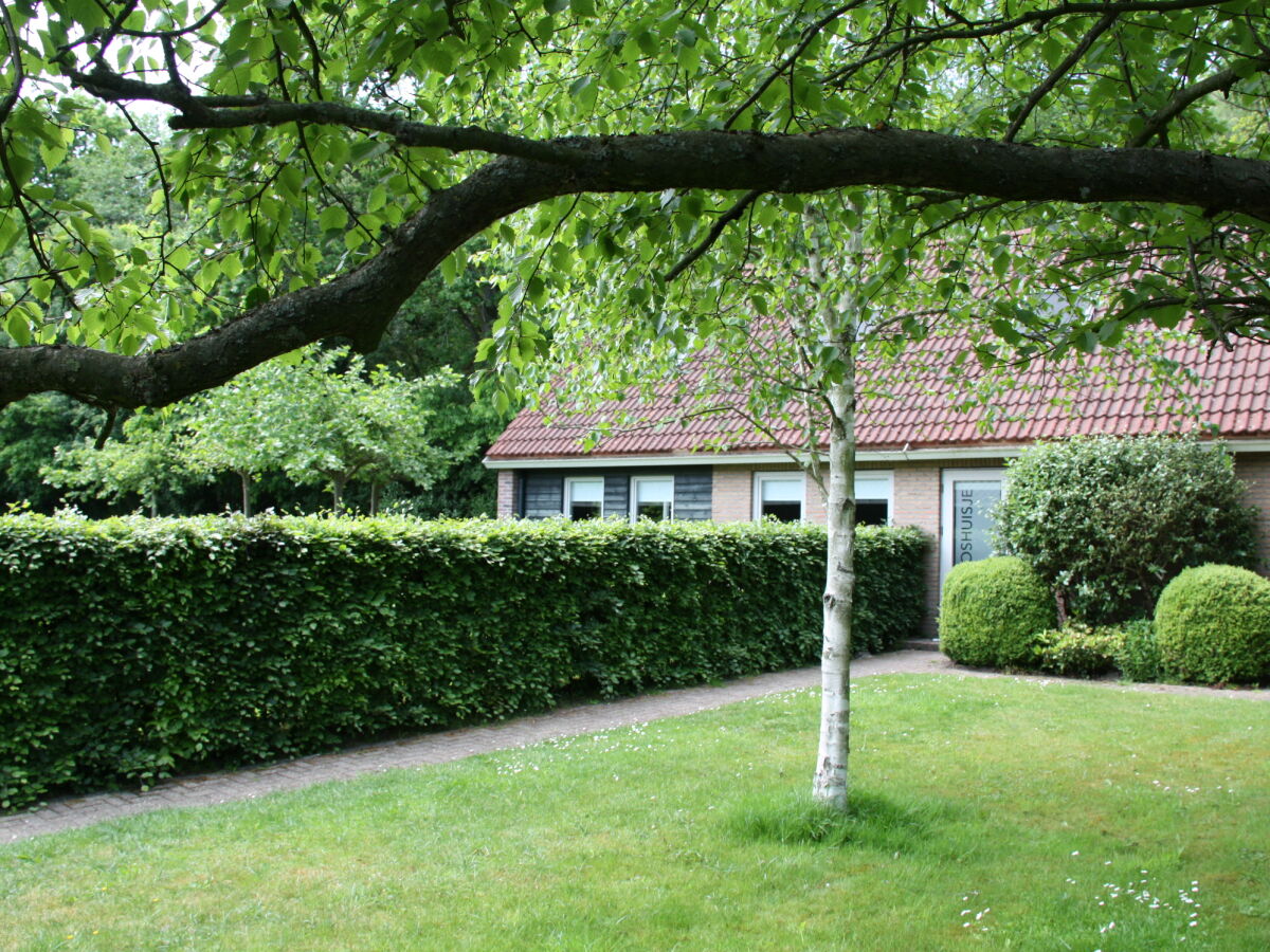 Holiday house The Forest Cottage - Outdoor photo 3