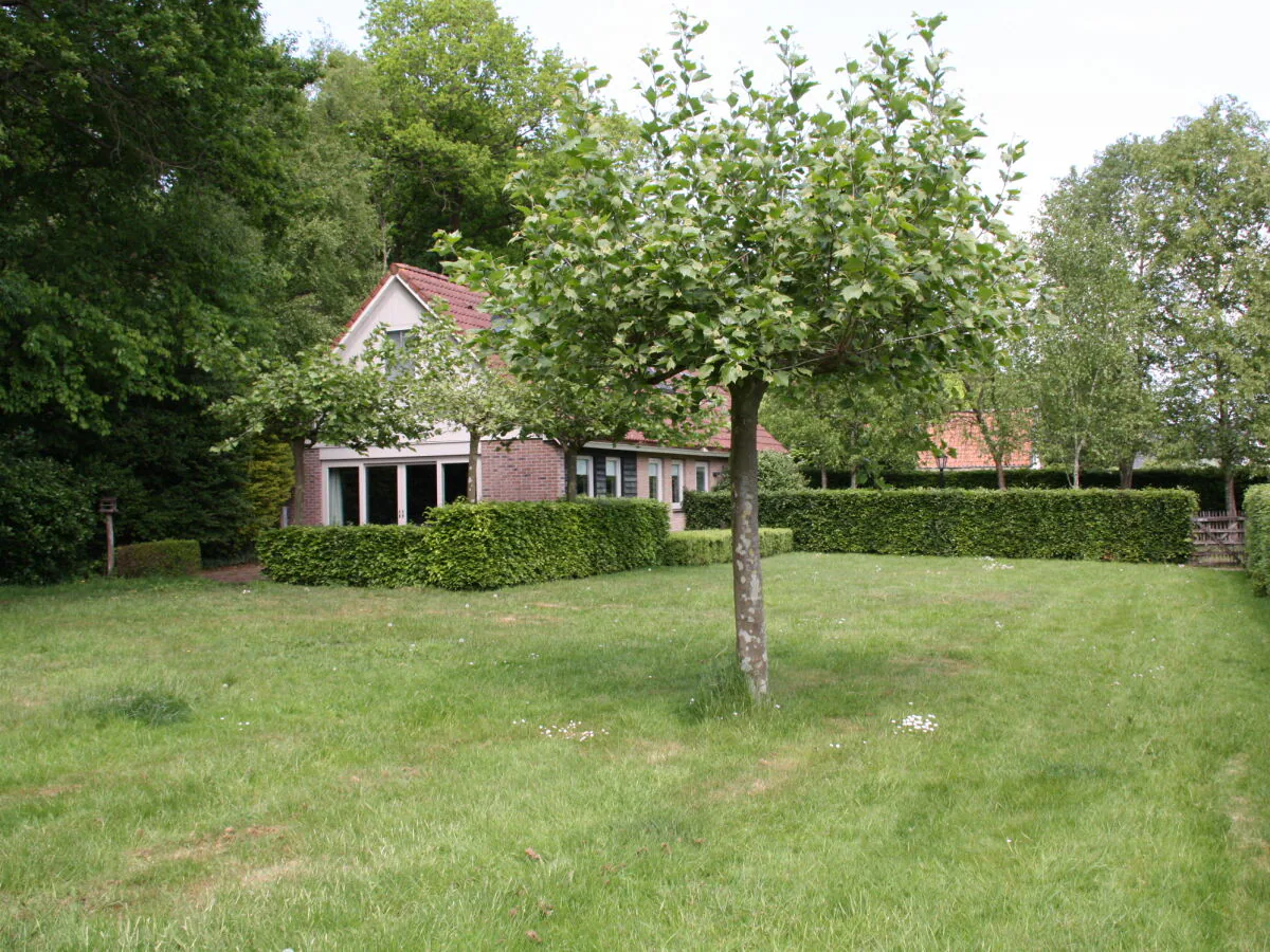 Holiday house The Forest Cottage - Outdoor photo 5