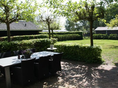 Holiday house The Forest Cottage in Schoorl - Holiday house