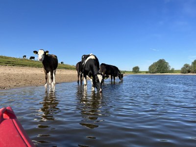 Chalet "Seerose" with air conditioning - Environment photo 23