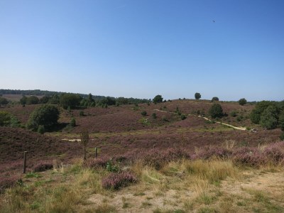 Chalet "Seerose" with air conditioning - Environment photo 27