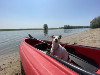 Chalet "Seerose" with air conditioning - Environment photo 34