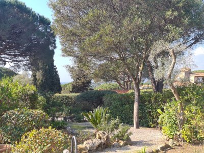 Holiday house Gigaro - Amandiers 335 - Outdoor photo 3