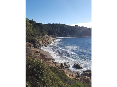 Holiday house Gigaro - Amandiers 335 - Environment photo 22