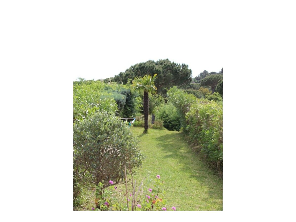 Holiday house Gigaro - Bruyères 119B - Outdoor photo 3