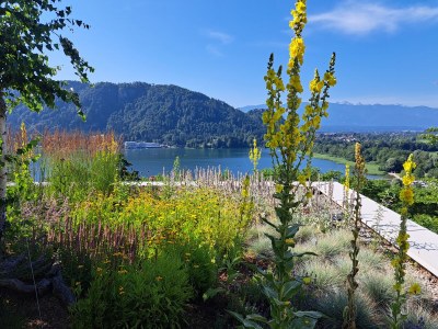 Apartment Feast for the eyes in Annenheim am Ossiachersee - Apartment