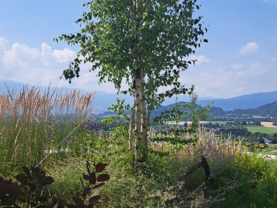 Apartment Feast for the eyes - Outdoor photo 11