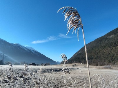 Apartment Appartement/Fewo, Dusche oder Bad, ruhig - Outdoor photo 6