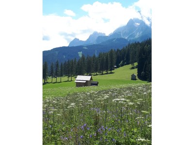 Holiday apartment Residence Summerer am Ort - Environment photo 16