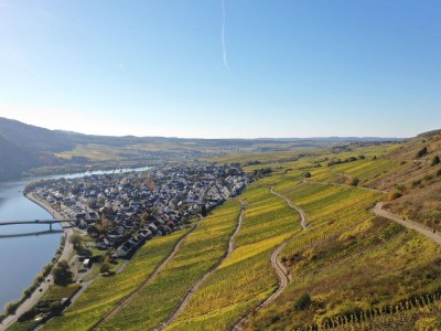 Holiday apartment Ferienwohnung JoMi - Environment photo 16