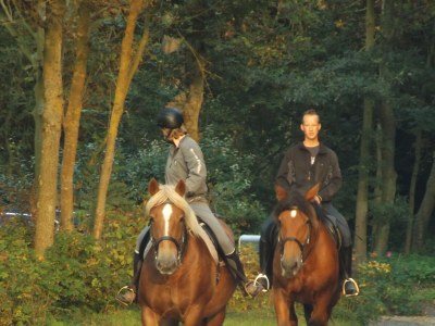 Bungalow Zee, Bos en Duin - Environment photo 17