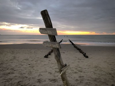 Bungalow Zee, Bos en Duin - Environment photo 18