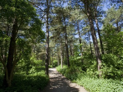 Holiday house Tulp & Zee Noordwijk - Environment photo 17