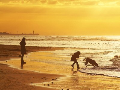 Holiday house Tulp & Zee Noordwijk - Environment photo 20