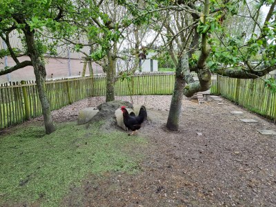 Holiday apartment OK49 - Duinsuite 51 - Outdoor photo 10