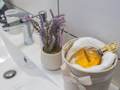 Villa Villa Marsel (4+2) - Private Pool and Jacuzzi - Features photo 33