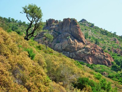 Holiday apartment Villa Oliandre - Environment photo 37