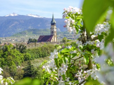 Villa No title - Environment photo 22