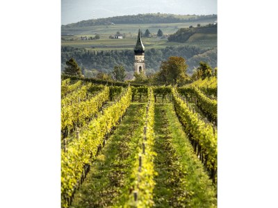 Villa No title - Environment photo 25