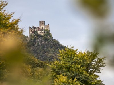 Villa No title - Environment photo 30