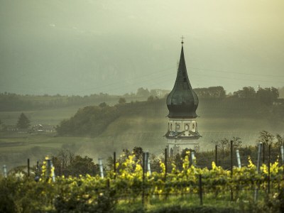 Villa No title - Environment photo 31