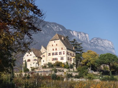 Villa No title - Environment photo 32